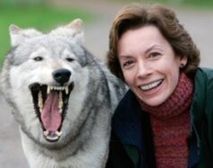 Мишель Пейвер Мишель Пейвер